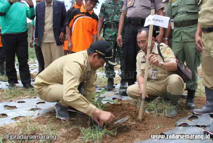 bawah menanam_rsz DEMI LINGKUNGAN : Wakil Bupati Magelang Edi Cahyana menanam di halaman SDN Munggangsari, Kaliangkrik.(IST)
