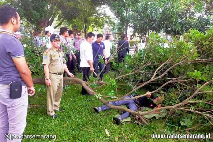 Tertimpa Pohon ok_rsz EVAKUASI: Tim gabungan menggelar simulasi penanggulangan bencana, dalam hal ini saat mengevakuasi korban tertimpa pohon.