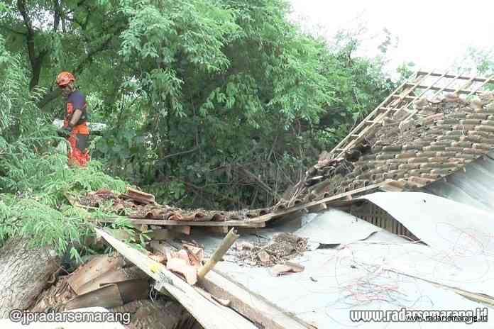kios robohh._rsz EVAKUASI: Petugas BPBD Kendal memangkas pohon yang tumbang dan menutup aliran sungai Kendal, kemarin. (BUDI SETIYAWAN/RADARSEMARANG.COM)