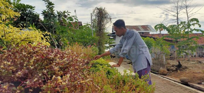 KAMPUNG HIJAU: Muhammad Falakhudin Azizi sedang merawat tanaman di kampungnya yang kerap direndam rob. (RIYAN FADLI/RADARSEMARANG.COM)
