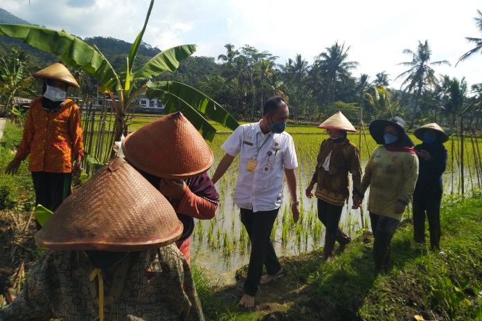 PETANI