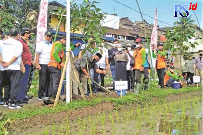 Tanamm_rsz PENGHIJAUAN : Penanaman pohon oleh Wali Kota Magelang dr Muchamad Nur Aziz di Kelurahan Wates, Kota Magelang, Jumat (21/1). (SHAKILA DHIANANDA R/RADARSEMARANG.COM)