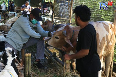 SATPOL-PP-PMK-DI-GUNUNG-PATI_NUR-CHAMIM-(5)